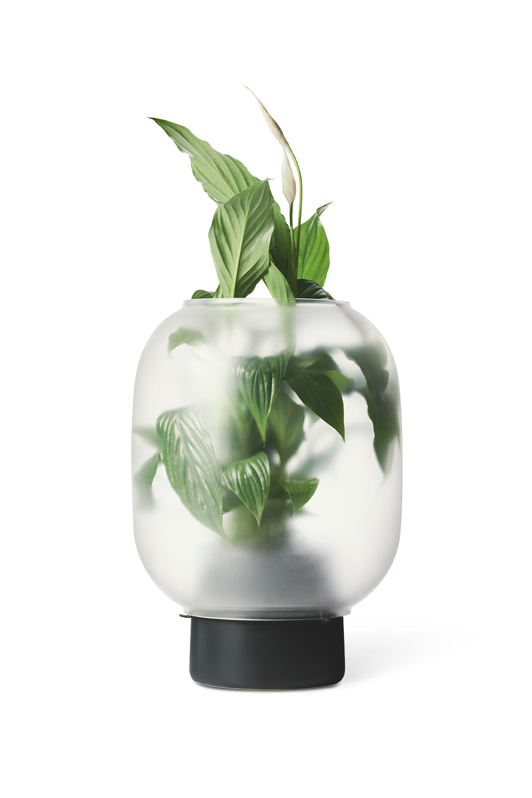 Nebl flowerpot big black